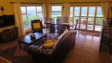 Télévision, cheminée, Netflix, lecteur de DVD