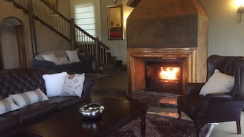 Télévision, cheminée, Netflix, lecteur de DVD