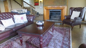 Fernseher, Kamin, Netflix, DVD-Player