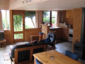 TV, fireplace, DVD player, books