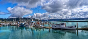 Panoramic  Vacation Paradise - Ocean Front Luxury Retreat - Great for Families