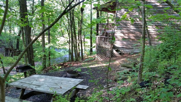 Une cabane en bois rustique, entourée d’une forêt dense.
