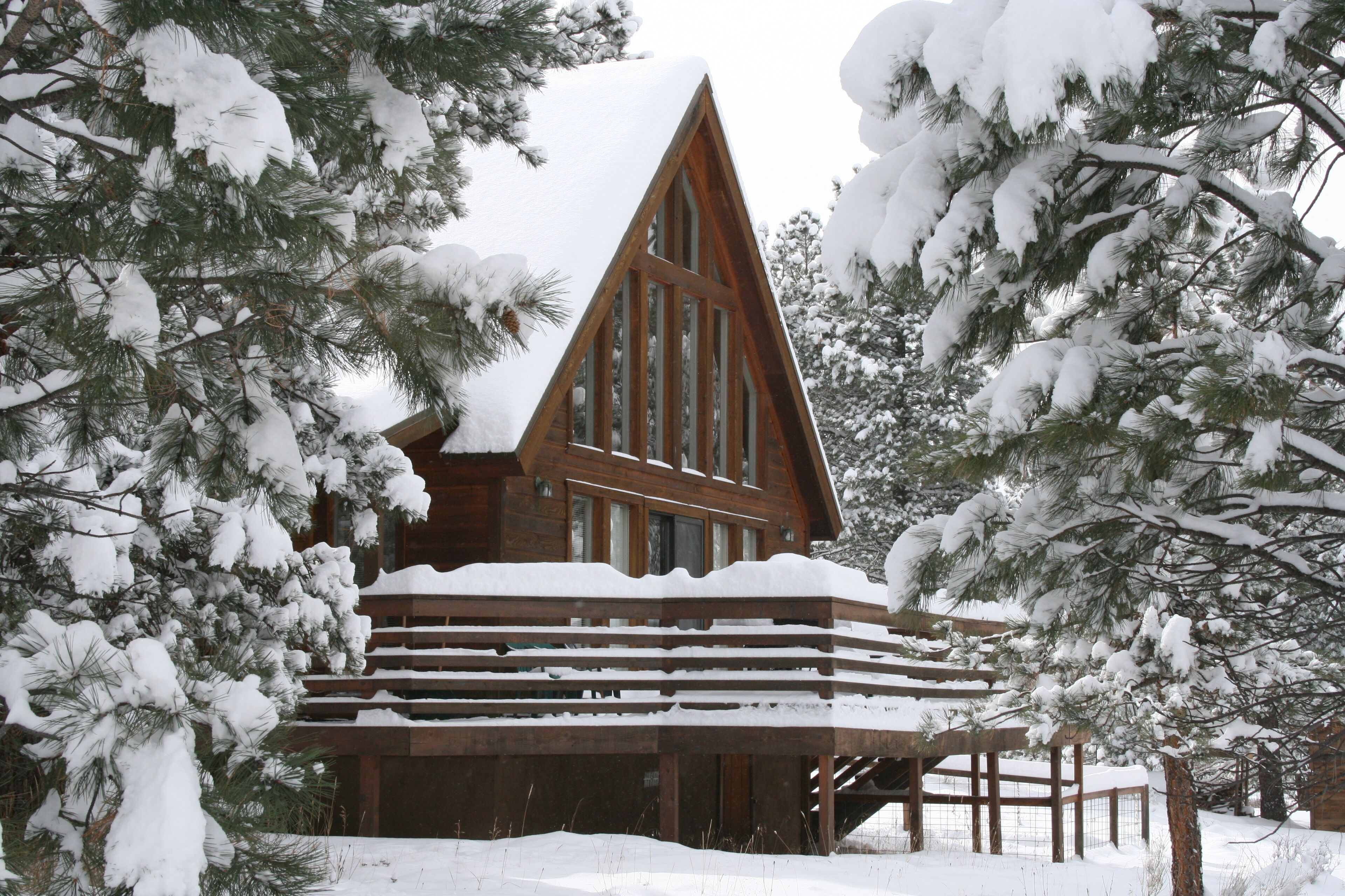 Cozy Chalet-Great Location and reasonable rates!