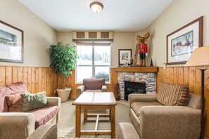 TV, fireplace, DVD player, books