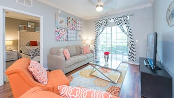 电视、DVD 播放器