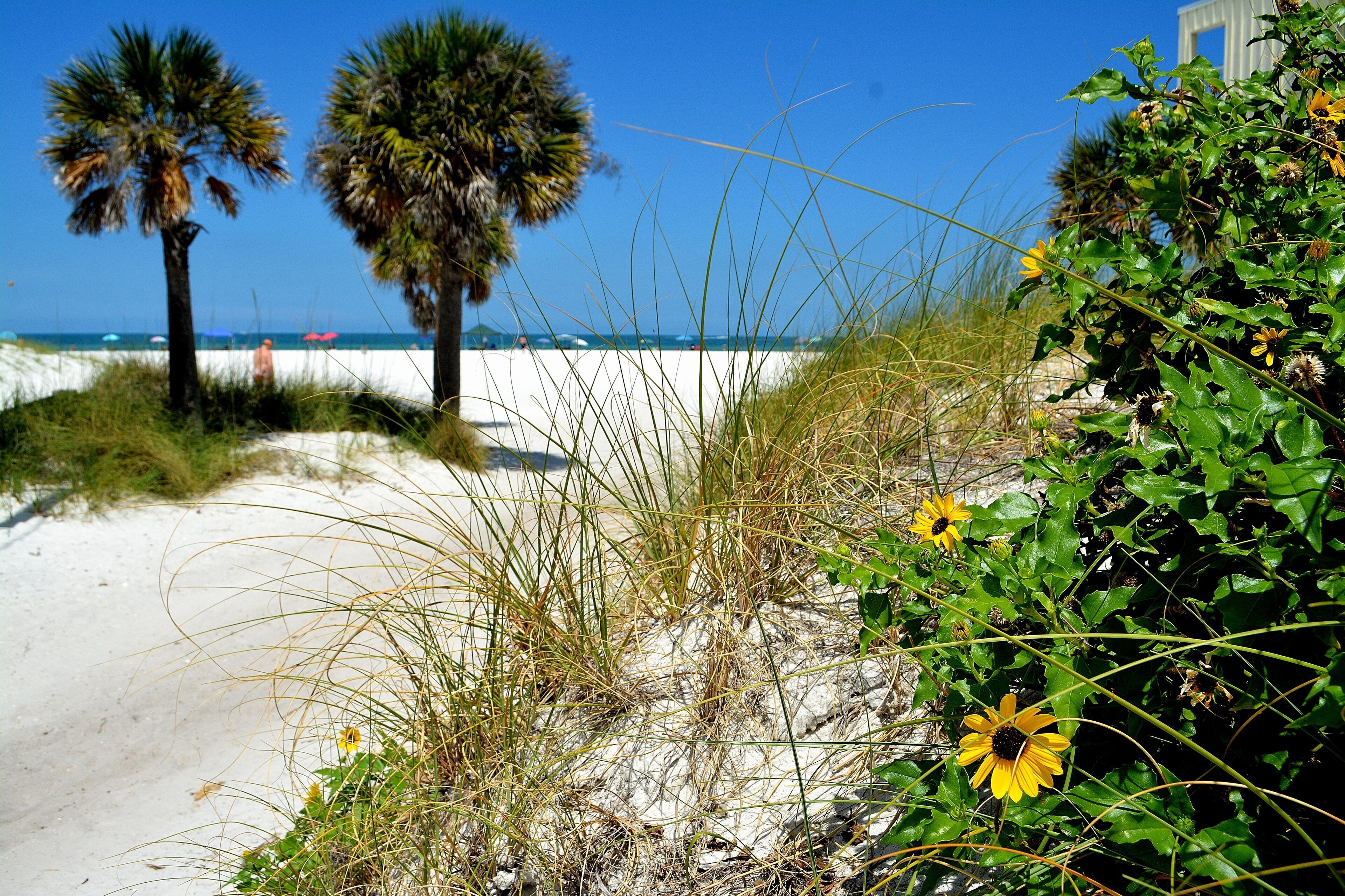 Playa en los alrededores, camastros y toallas de playa 