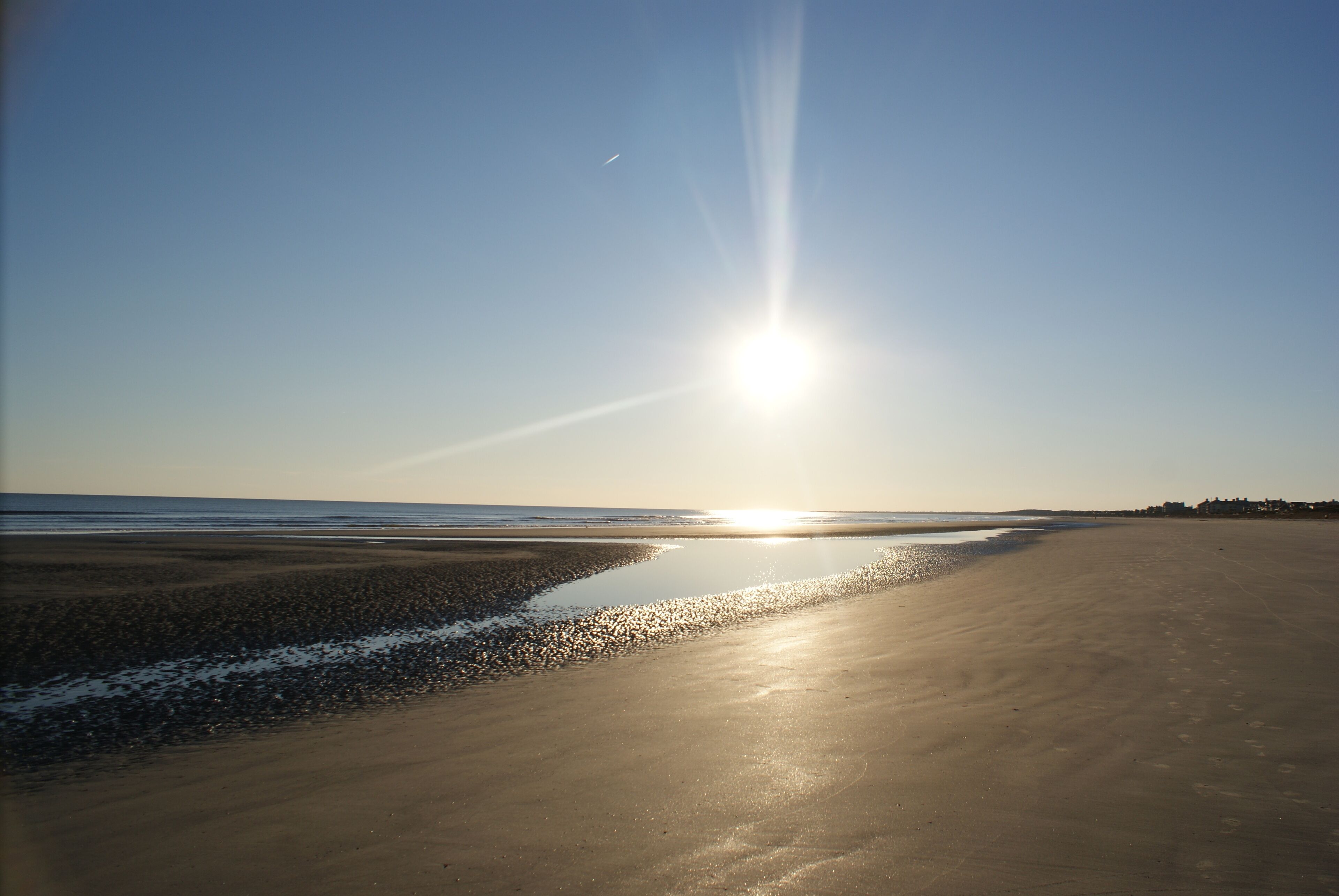 10 Best PetFriendly Rentals In Kiawah Island, South Carolina Updated 2024 Trip101