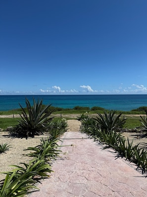 المنطقة المحيطة بالمنشأة