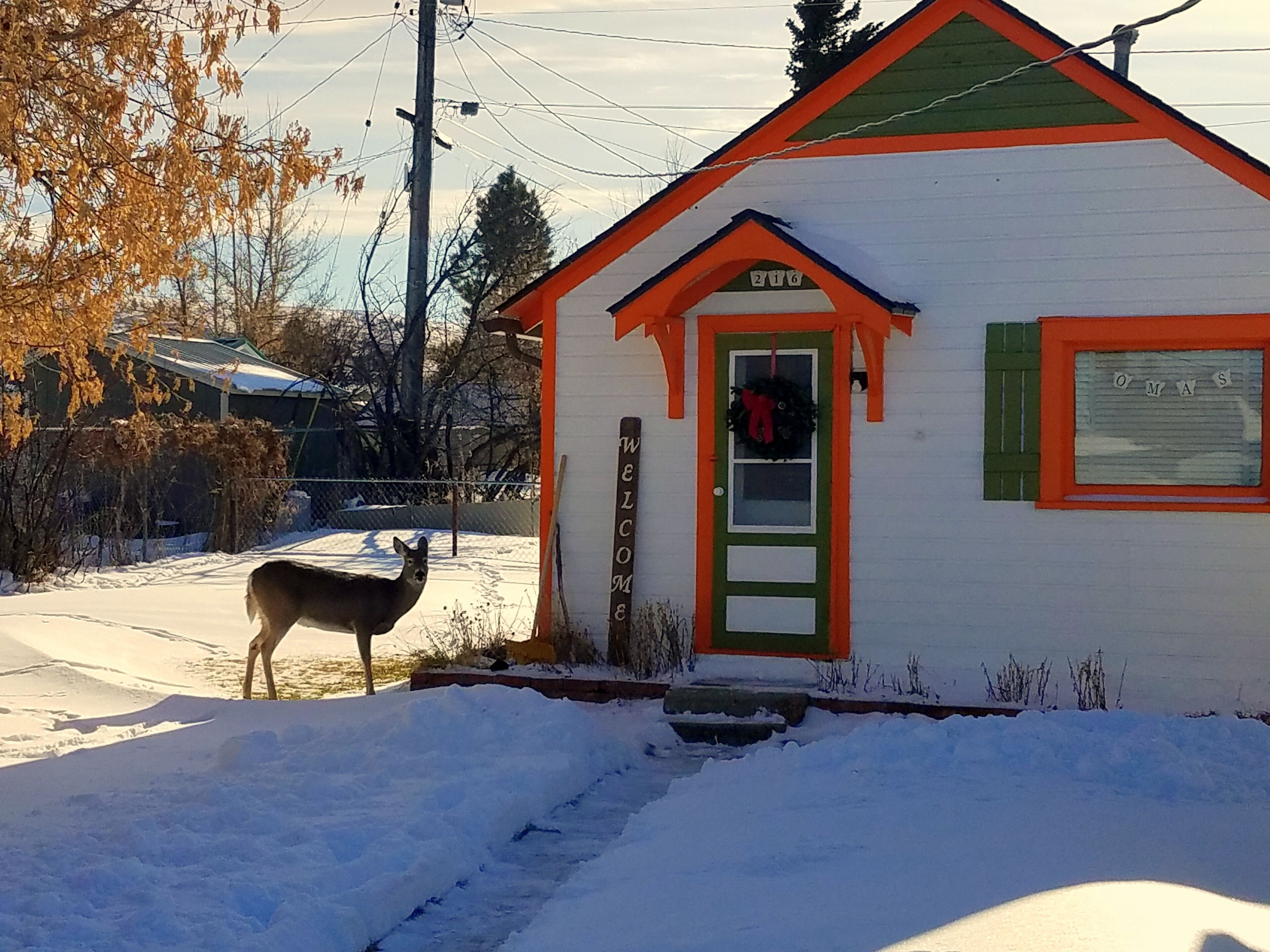Oma's 1890 Cottage with Hot Tub & Sauna in Red Lodge Montana