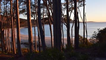 Plage, chaises longues