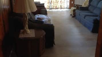 TV, fireplace, DVD player