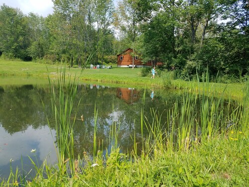 Grey's Getaway Cabin# 3 Cabin is a Slice of heaven in Finger lakes region!