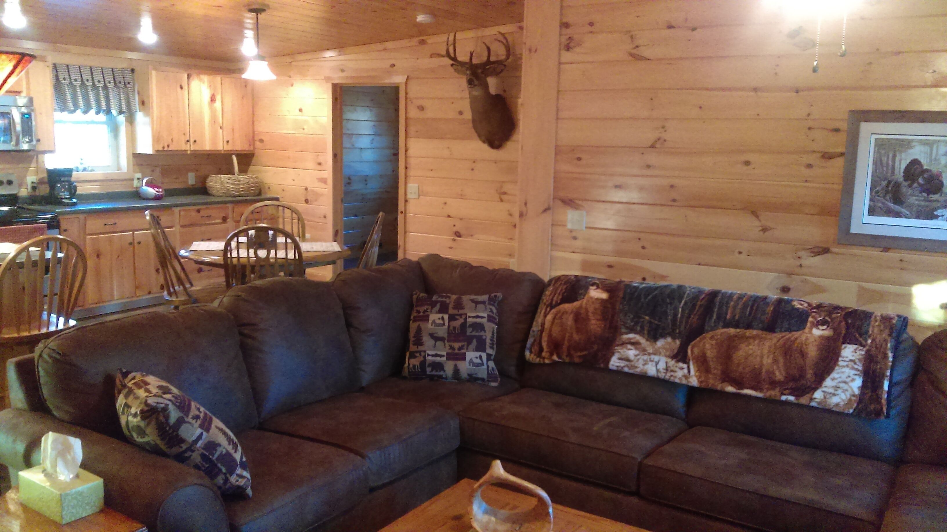 Grey's Getaway Cabin# 3 Finger lakes area, perfect season retreat! Dog friendly