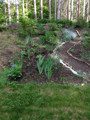 Ein Garten mit einem gewundenen Pfad, verschiedenen Pflanzen und einem Wald im Hintergrund.