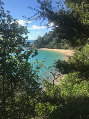 Paisaje costero con playa, vegetación densa y cielo despejado.