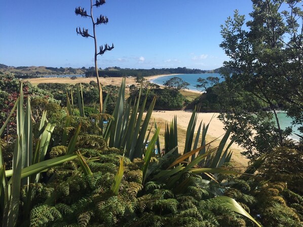 Un paisaje costero con playa, vegetación densa y cielo despejado.