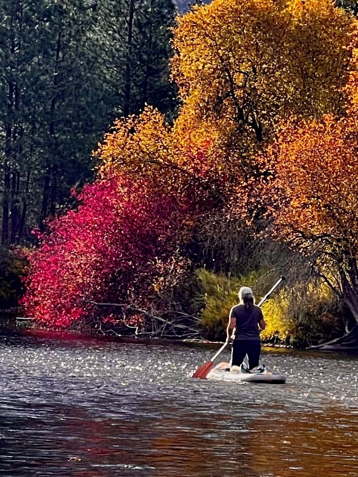 A person paddleboarding on a calm body of water with vibrant autumn foliage in the background.