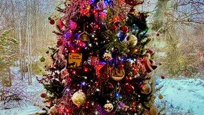 A Christmas tree decorated with various ornaments and lights, placed in a room with large windows. -  Riverdance Lodge: Best Family and Friends private Icicle River Fun Getaway!! (Leavenworth)