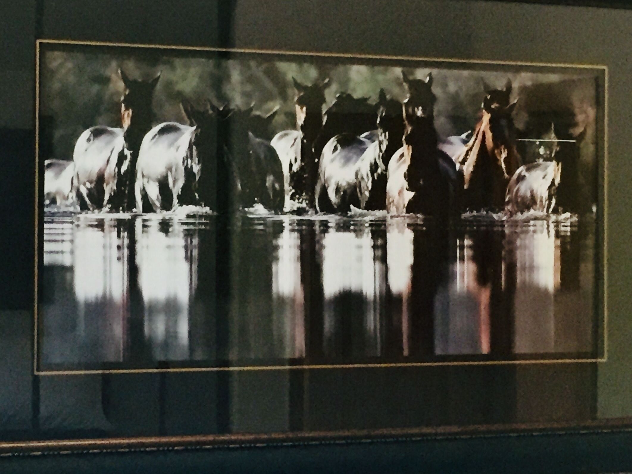 Une photographie encadrée représentant un groupe de chevaux dans une étendue d’eau, où se reflètent leurs images.