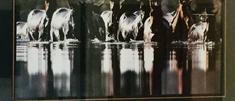 A framed photograph of a group of horses in a body of water, reflecting their images.