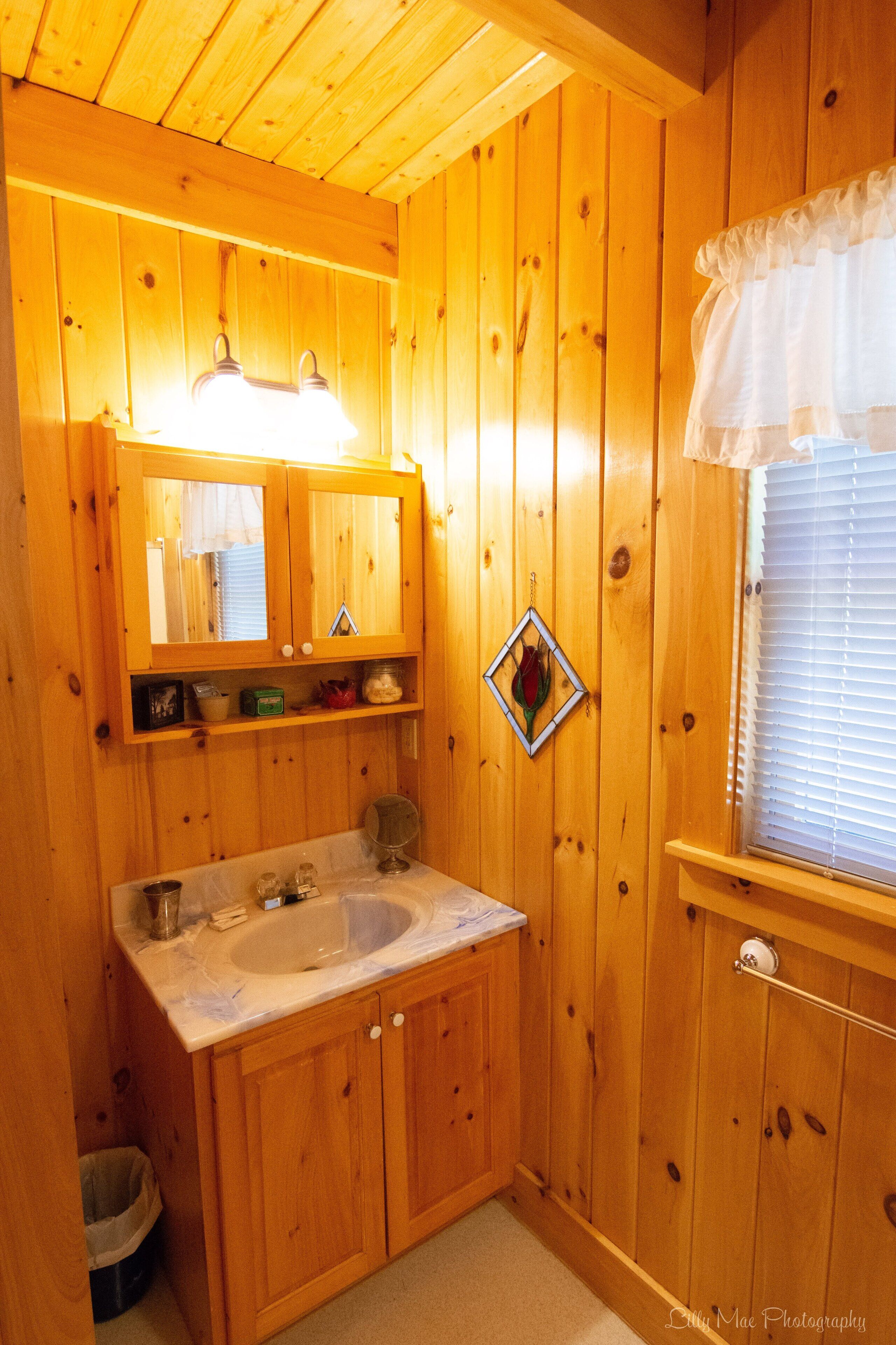 Mountains, Beach, or Boston Day Trips! Swimming, Foliage, Winter Sports Nearby