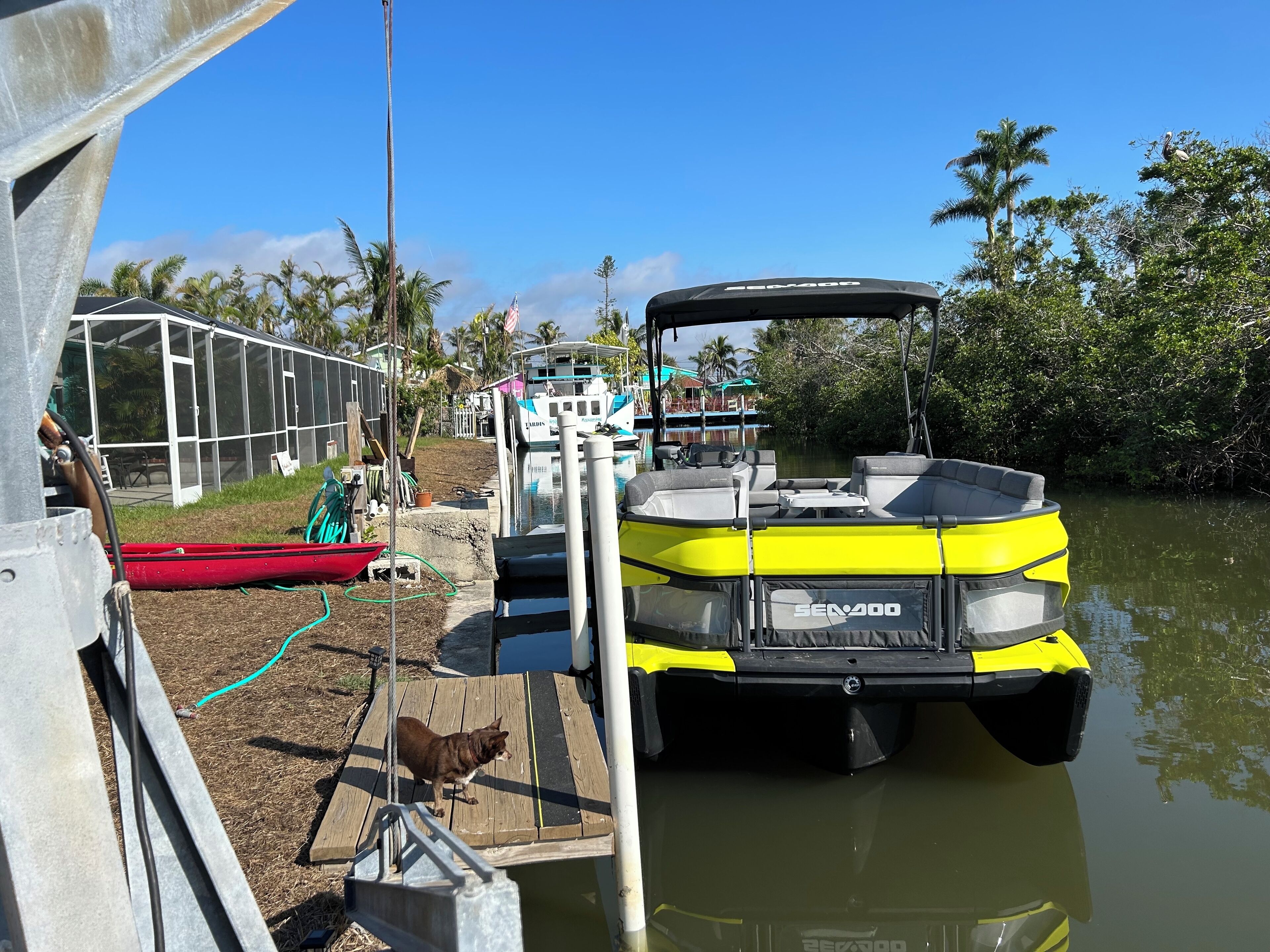 Ein Boot liegt an einem Steg in einer Marina, mit einem hölzernen Deck, in der Nähe ein rotes Boot und ein Hund steht am Steg.