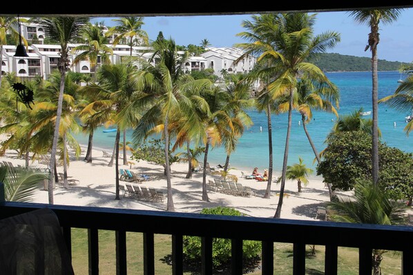 A beach resort with palm trees, a pool, and a view of the ocean.