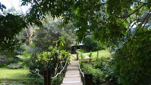 Uma ponte de madeira sobre um lago com folhas de nenúfar, cercada por vegetação exuberante e um pequeno edifício ao fundo.