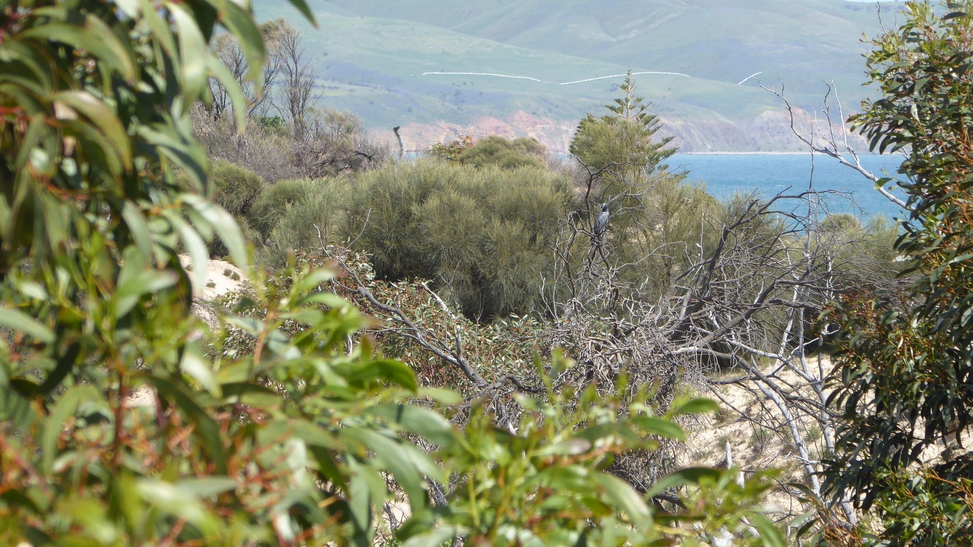 Unwind at Aldinga Beach — image 14