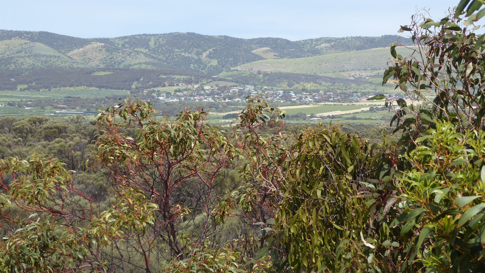 Unwind at Aldinga Beach — image 15