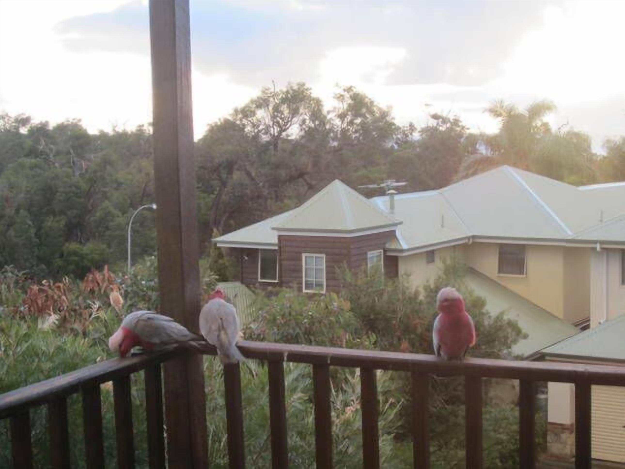 Old Dunsborough Holiday Villa — image 5