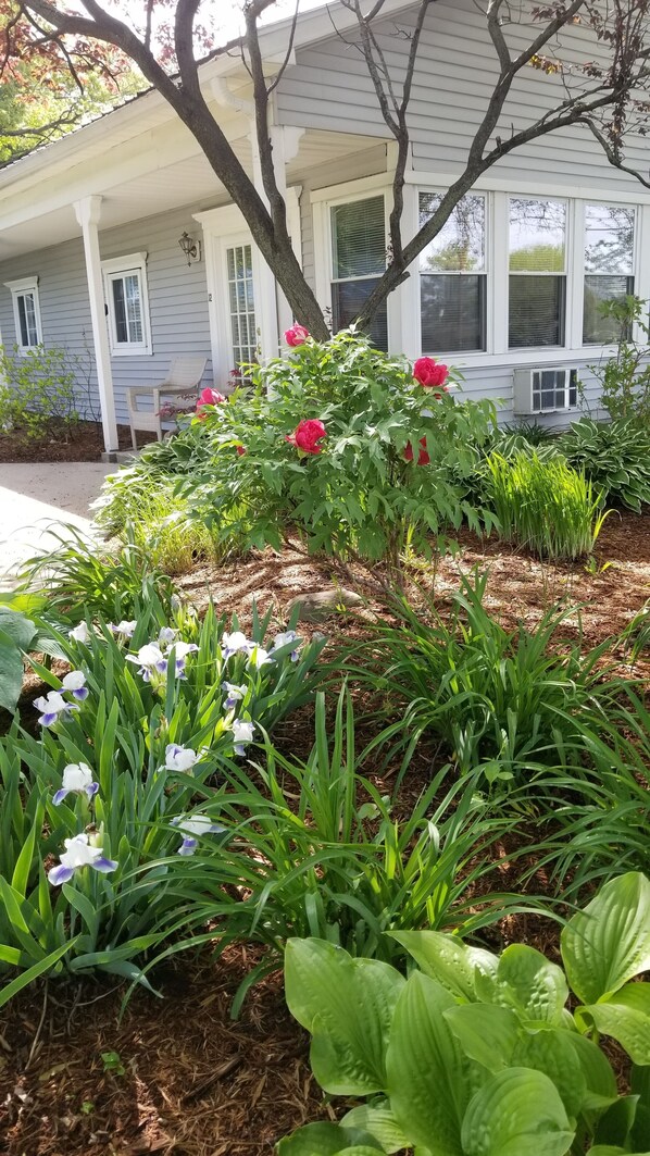 A house with a covered porch, a garden with various plants and flowers, and a tree in front. - Beautiful condo with a waterview is a short walk to shops and restaurants. (Saugatuck)