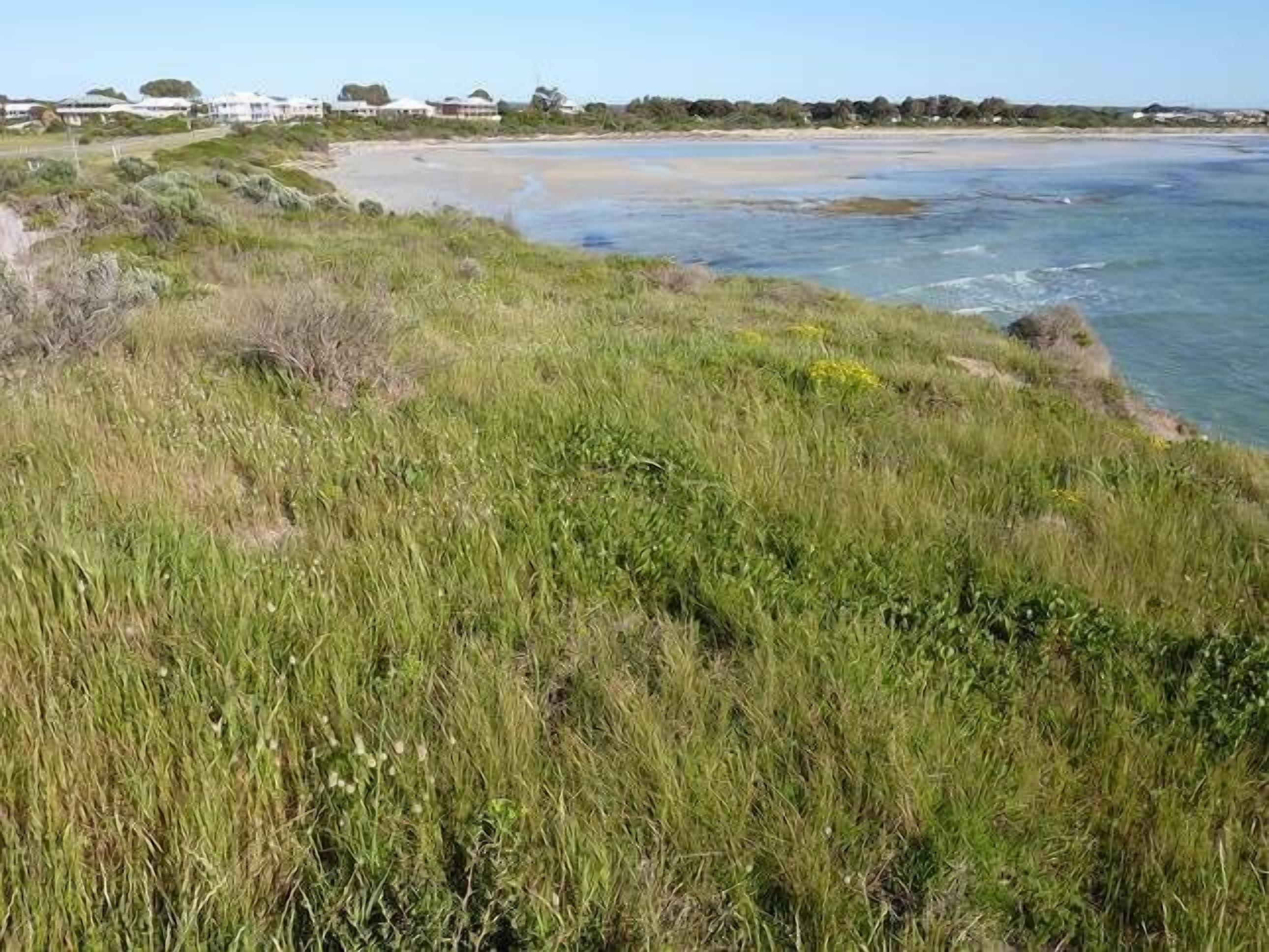 Marion Bay Beach Cottage — image 10