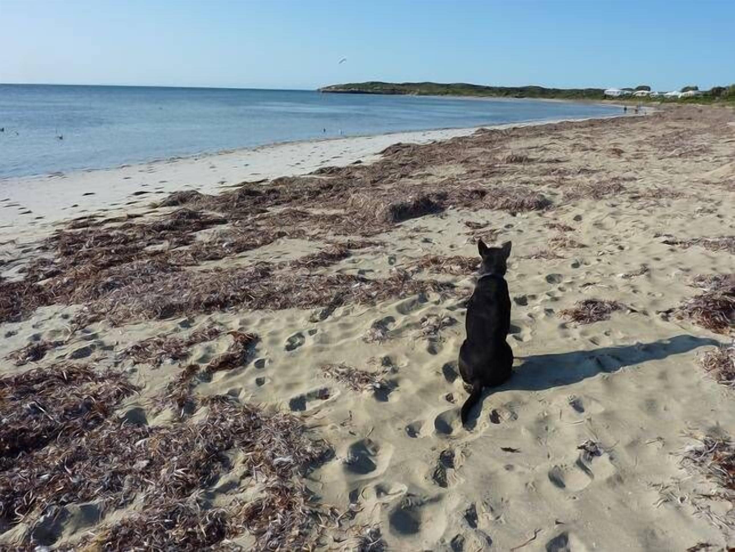 Marion Bay Beach Cottage — image 12