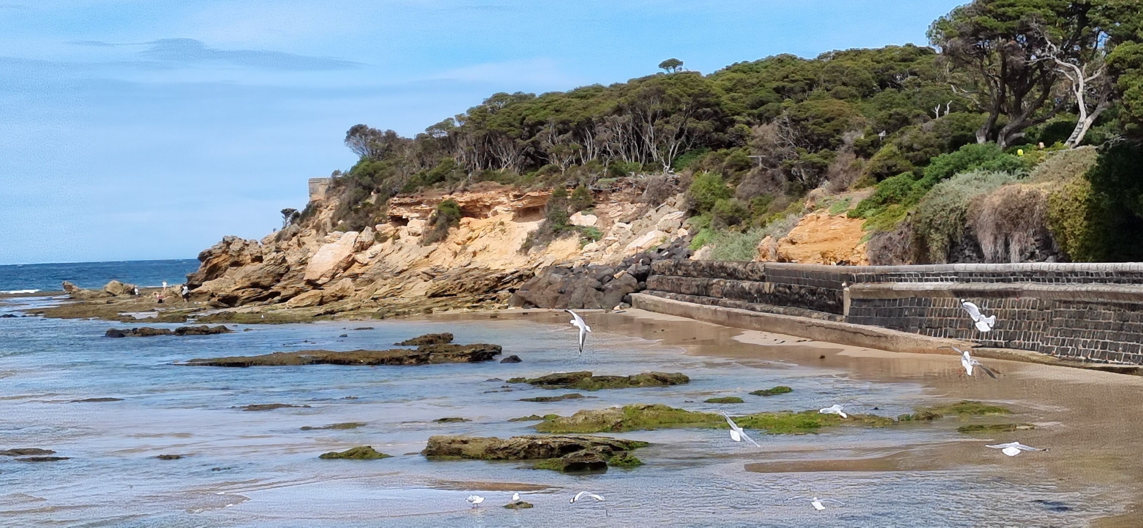 Una spiaggia costiera con terreno roccioso, un muro di pietra e gabbiani.