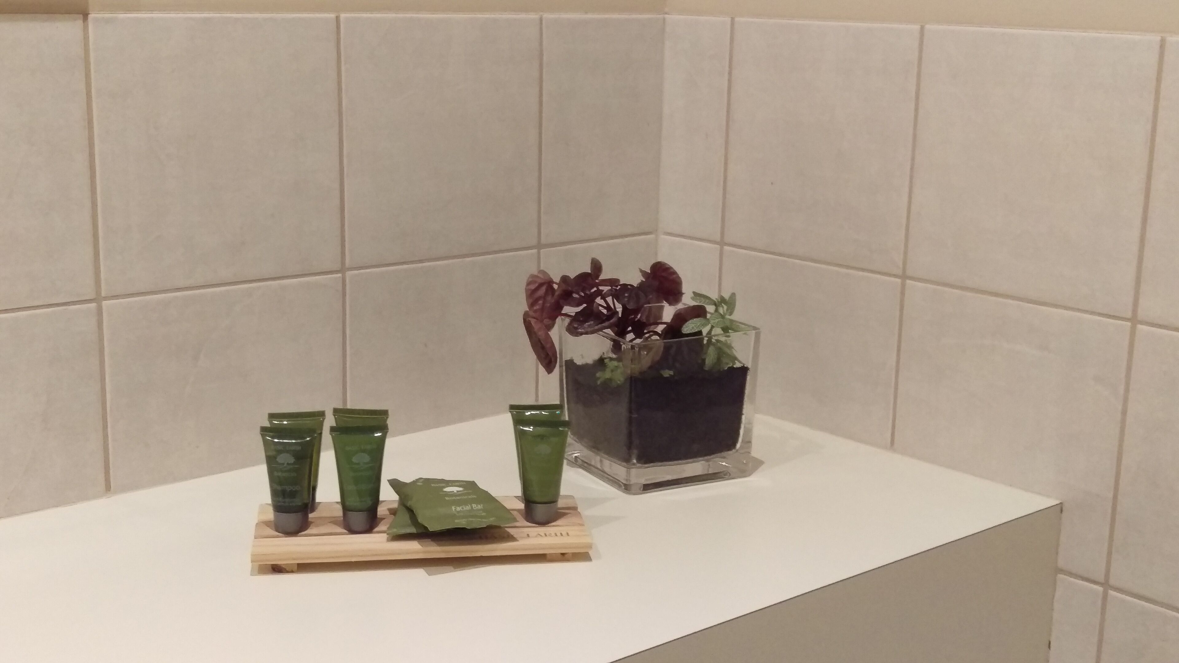 A bathroom with a white countertop, a green plant in a glass pot, and three green tubes on a wooden tray.