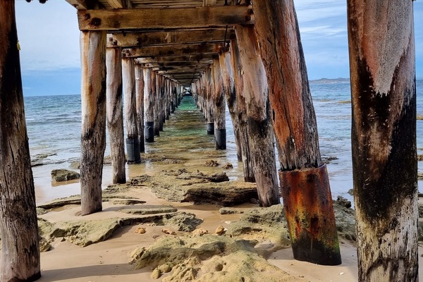 Playa en los alrededores y camastros
