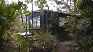 A modern house surrounded by dense vegetation.