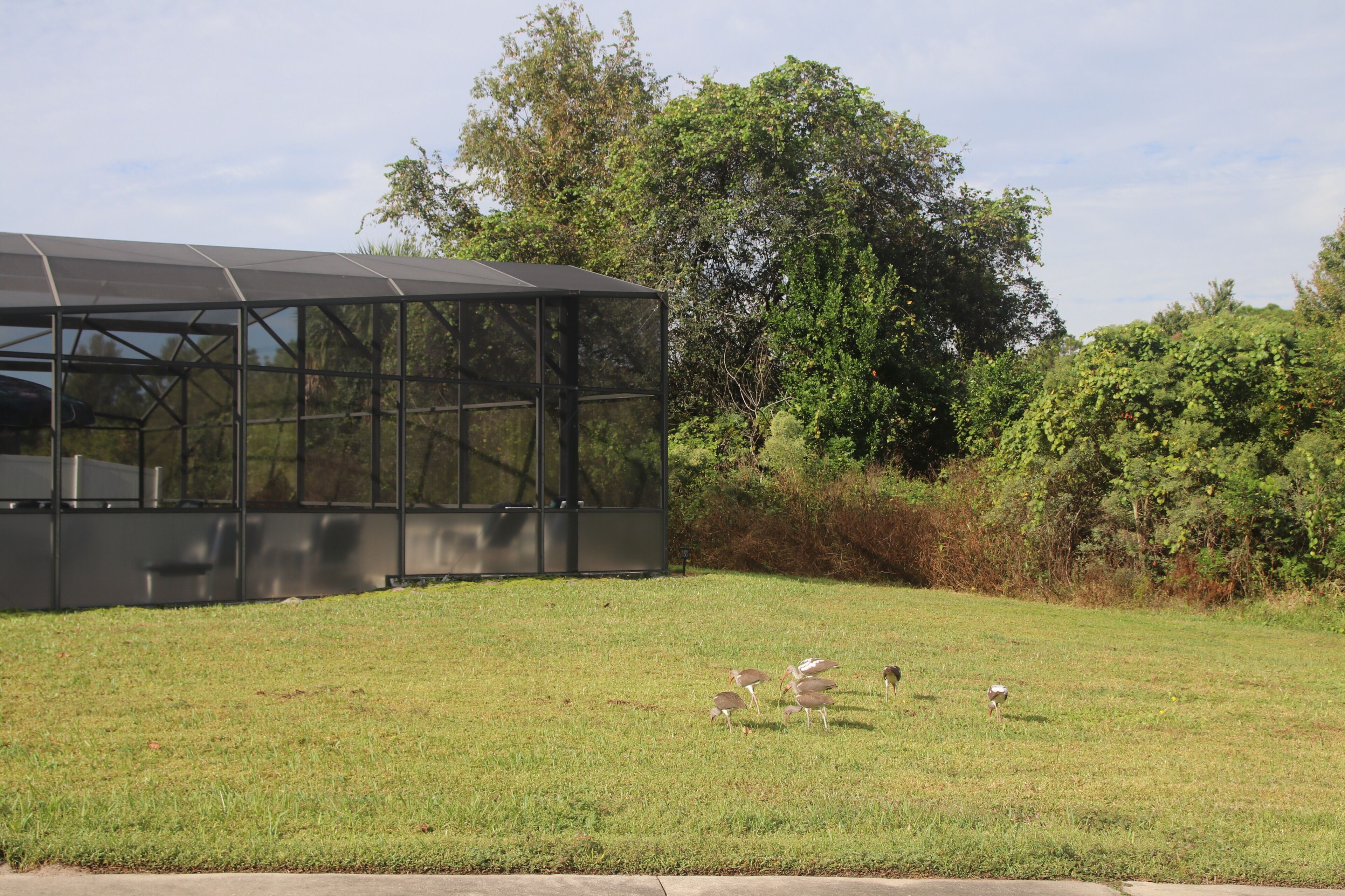 A modern building with a glass facade, surrounded by a grassy area and dense trees.