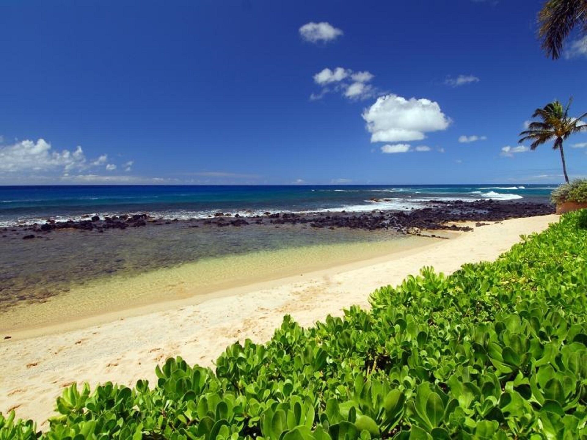 Uma praia com águas turquesa cristalinas, areal arenoso e vegetação verde exuberante.