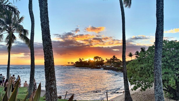 A coastal sunset view with palm trees and a beach.