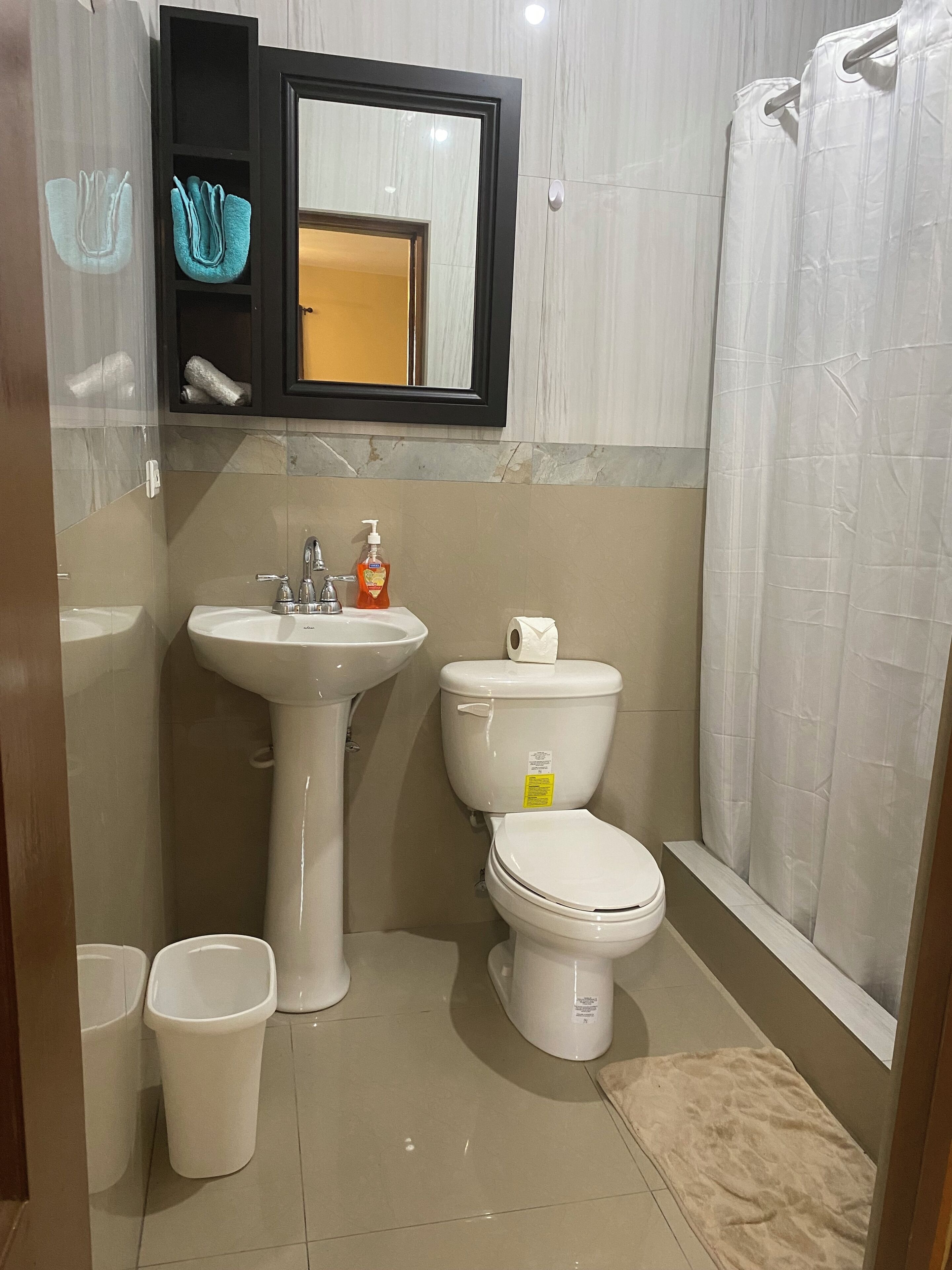 シャワー、タオル、石鹸、トイレットペーパー