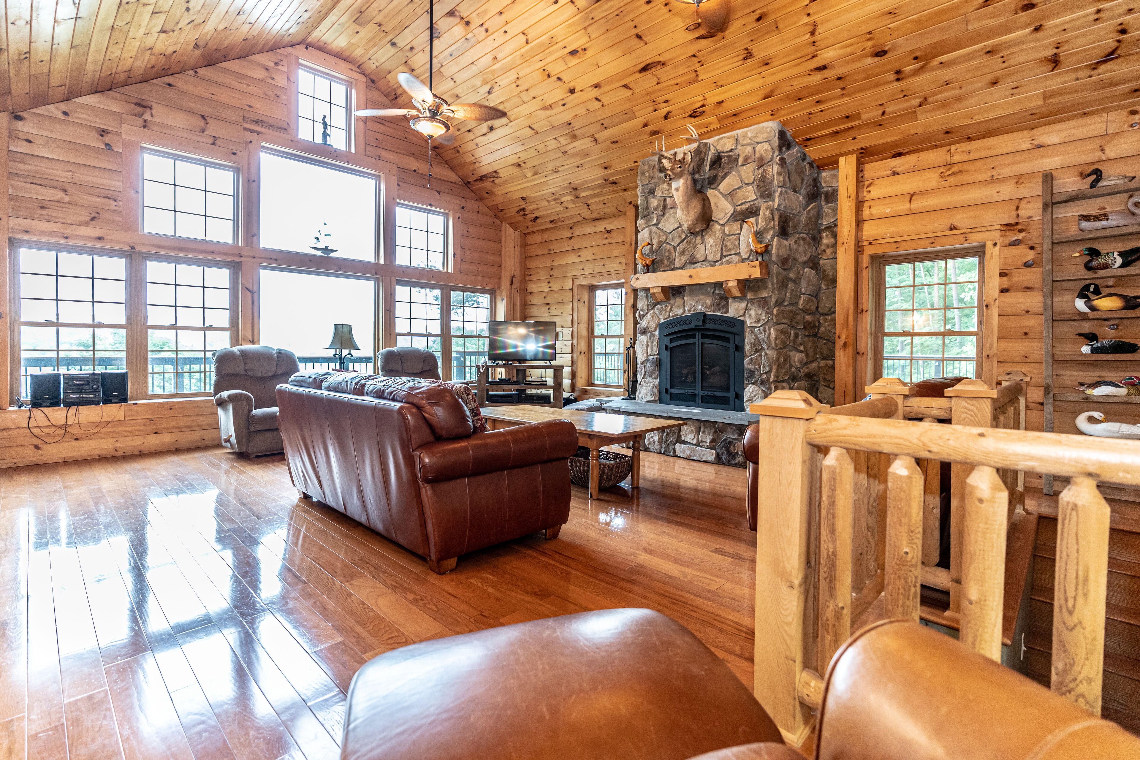 Smart TV, fireplace, DVD player, books