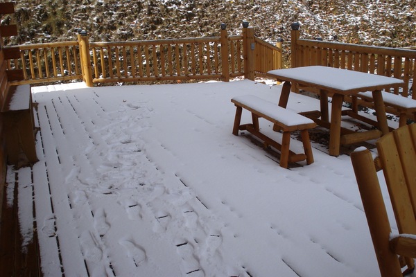 Snow on Deck