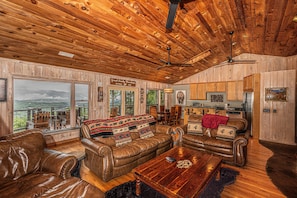 Smart TV, fireplace, DVD player, books