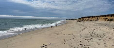 On the beach, sun loungers, beach towels