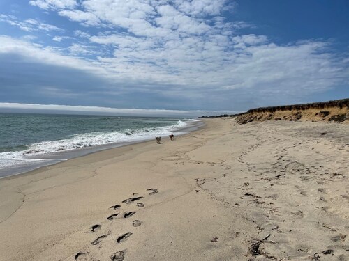 3B/2.5b Steps to 40th Pole Beach! Fenced Yard, Large Deck. Dogs OK!