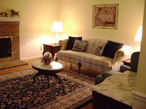 Smart TV, fireplace, books