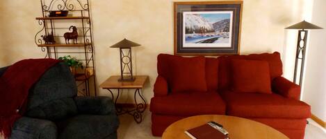 TV, fireplace, books, stereo