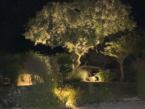 A nighttime garden with a large tree illuminated by soft lighting, surrounded by various plants and a small pond. - Secluded, Luxurious Getaway, Escape The City W/ Private Beach & Waterfront Dock (South Kingstown)